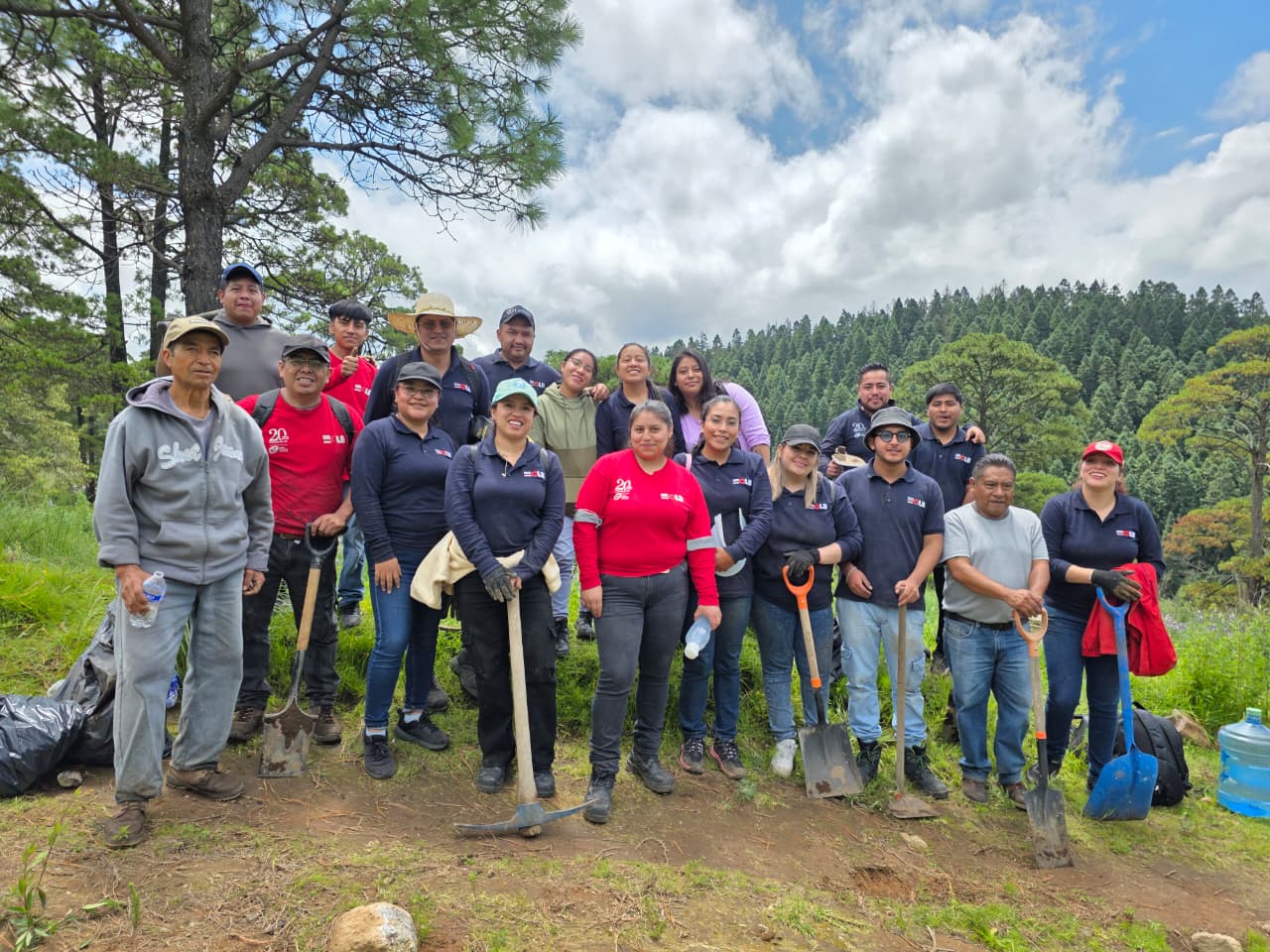 Reforestación Toluca